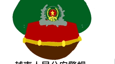 越南警衔图片