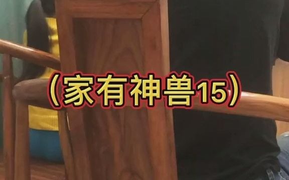 家有神兽15.渣渣芯,你是真扎心啊,你还能再扎心一点吗?啊…我要疯了……哔哩哔哩bilibili