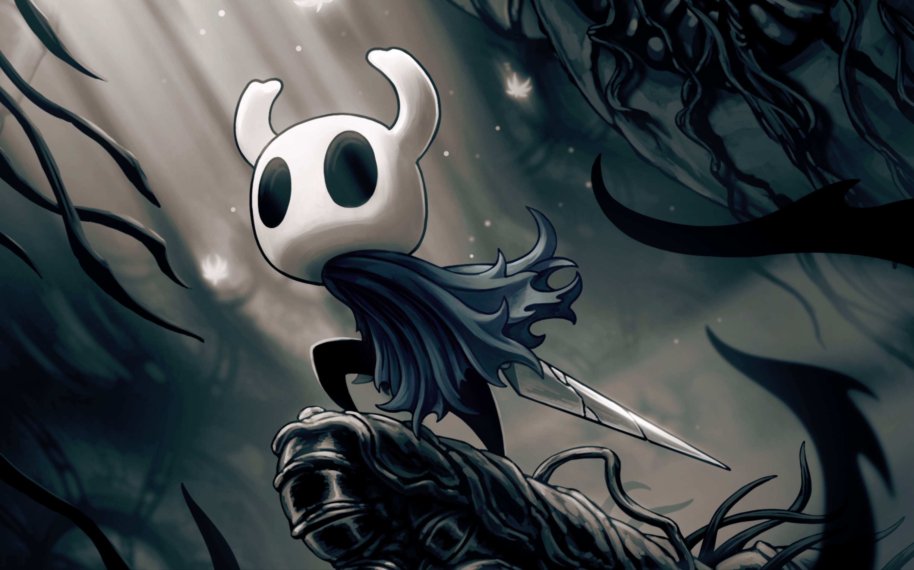 你是容器,你是空洞骑士.