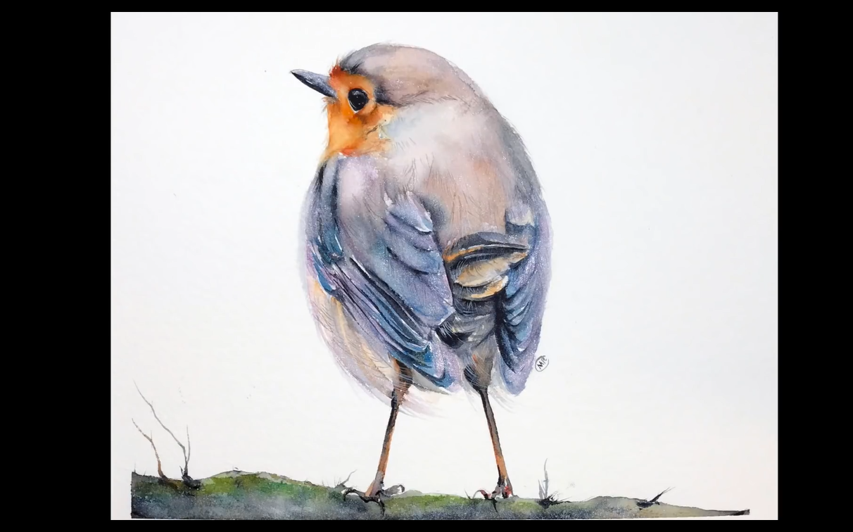 【水彩教程】看看这只漂亮的鸟是怎么画的