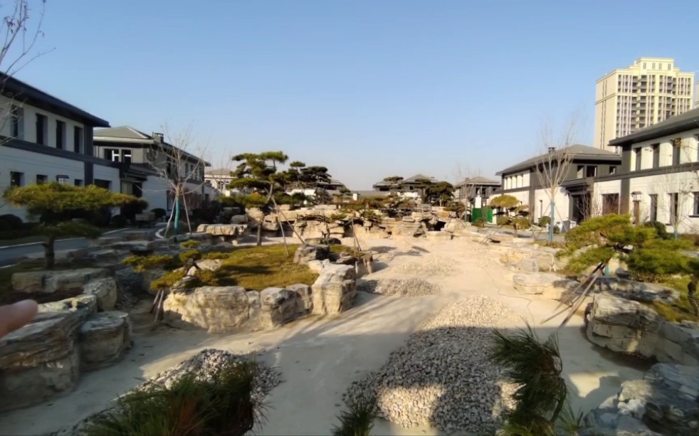 保定漕河片区别墅,中心景观花园,2021年11月25日实拍