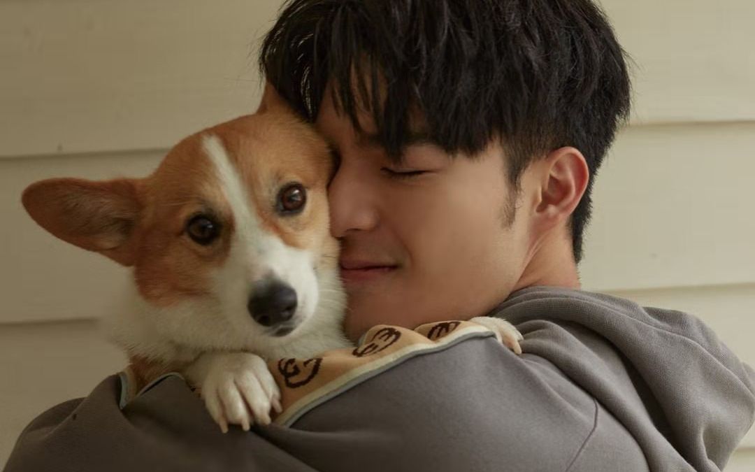 陈昊森你继续翱翔还有我们为你坚持