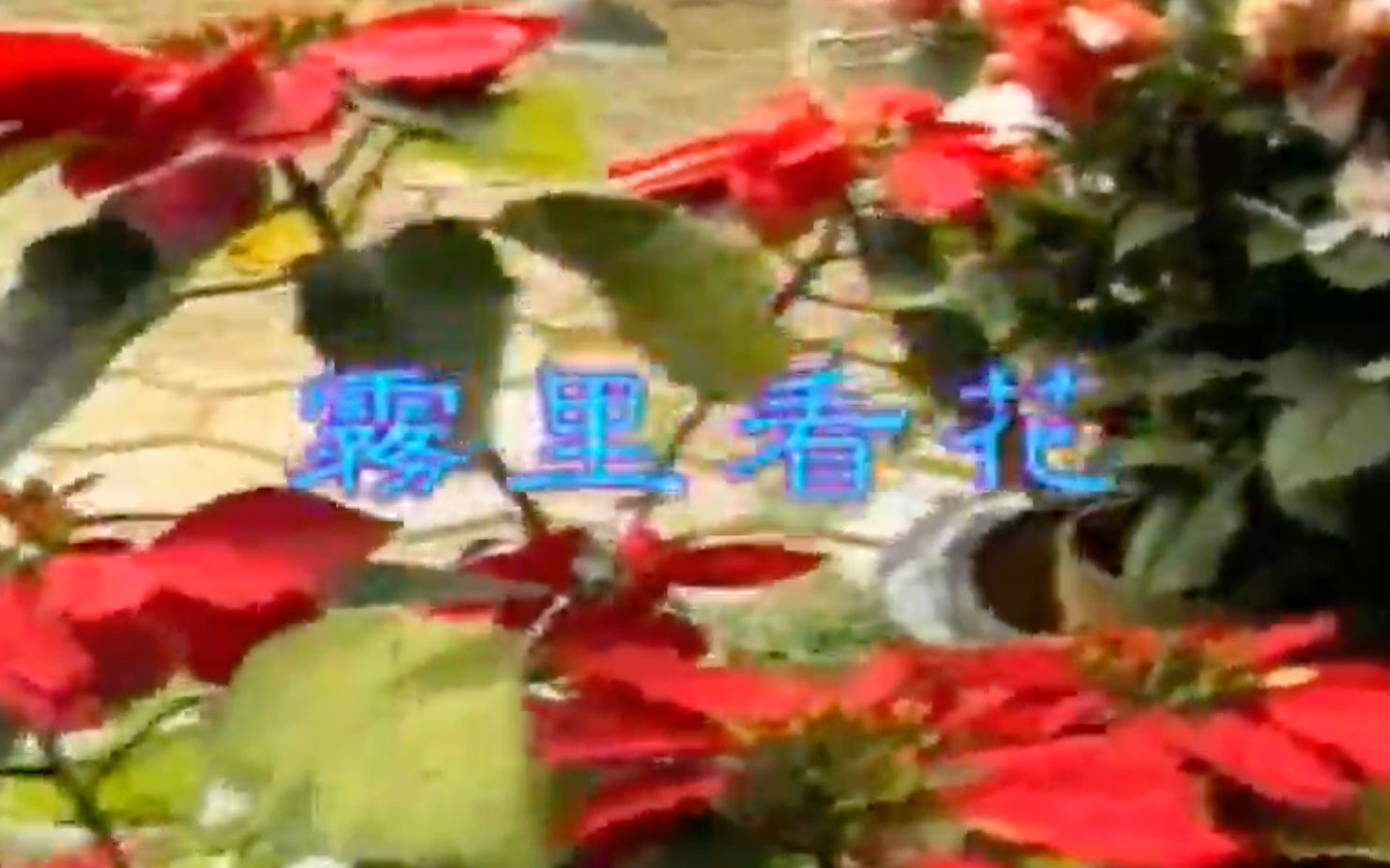 [图]深圳音像艺声【雾里看花】