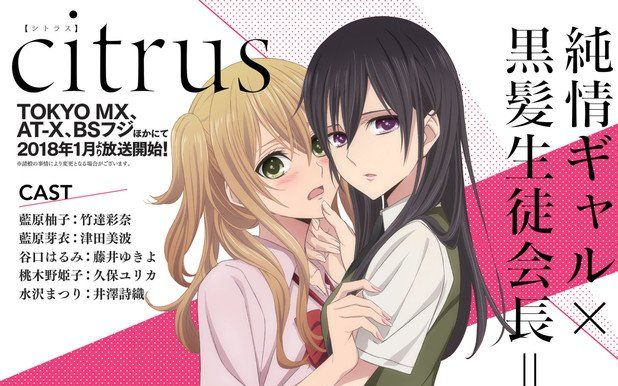 2018年1月柑橘味香气citruspv1f宅