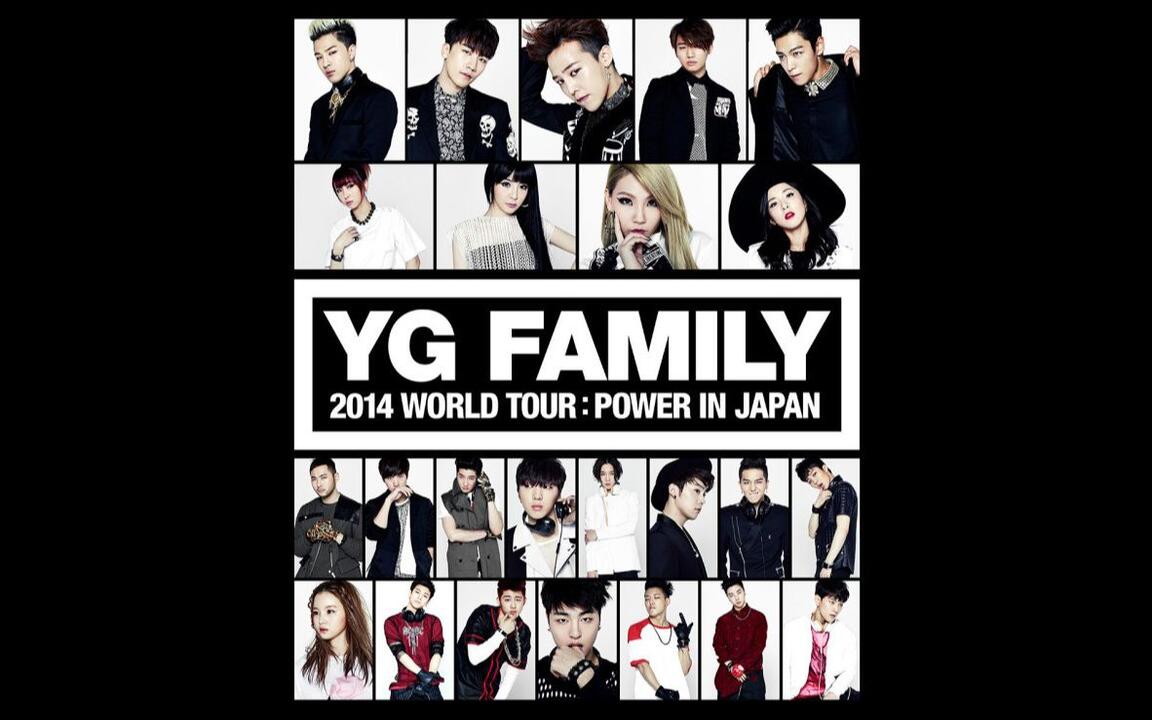 蓝光演唱会】2014 YG Family – World Tour -POWER- in Japan_哔哩哔哩_