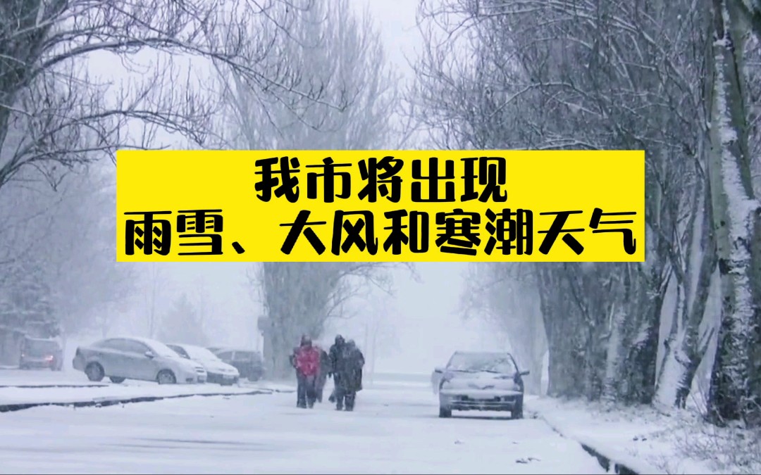 大雪!大雪!大雪来了!石家庄中雨转大雪!石家庄市气象台发布大风蓝色预警、寒潮黄色预警,最低气温低至零下!#石家庄#天气#大雪#下雪#预警#重要...