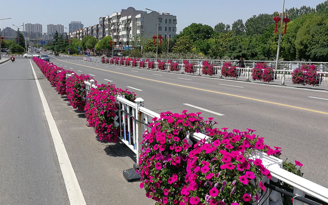 护栏绿化 道路隔离护栏挂花_哔哩哔哩 (゜-゜)つロ 干杯~-bilibili