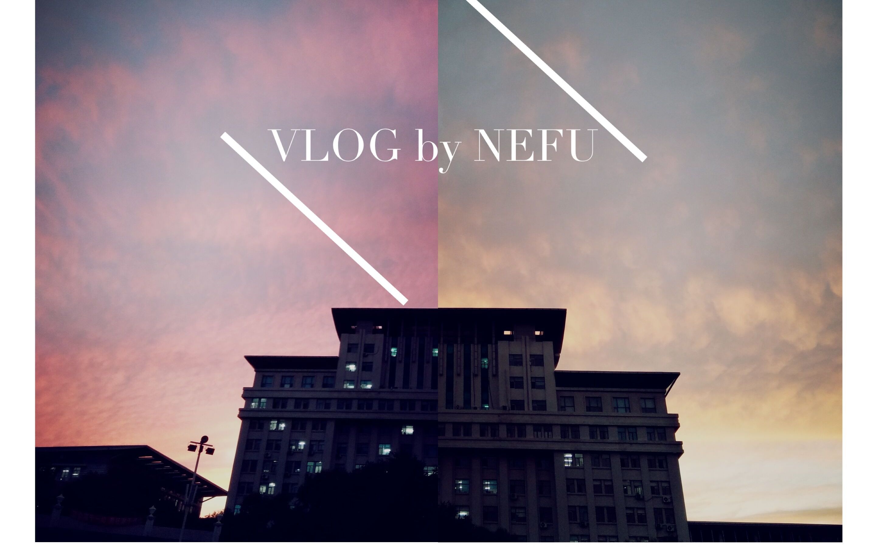 【VLOG BY NEFU】东北林业大学校园混剪哔哩哔哩bilibili