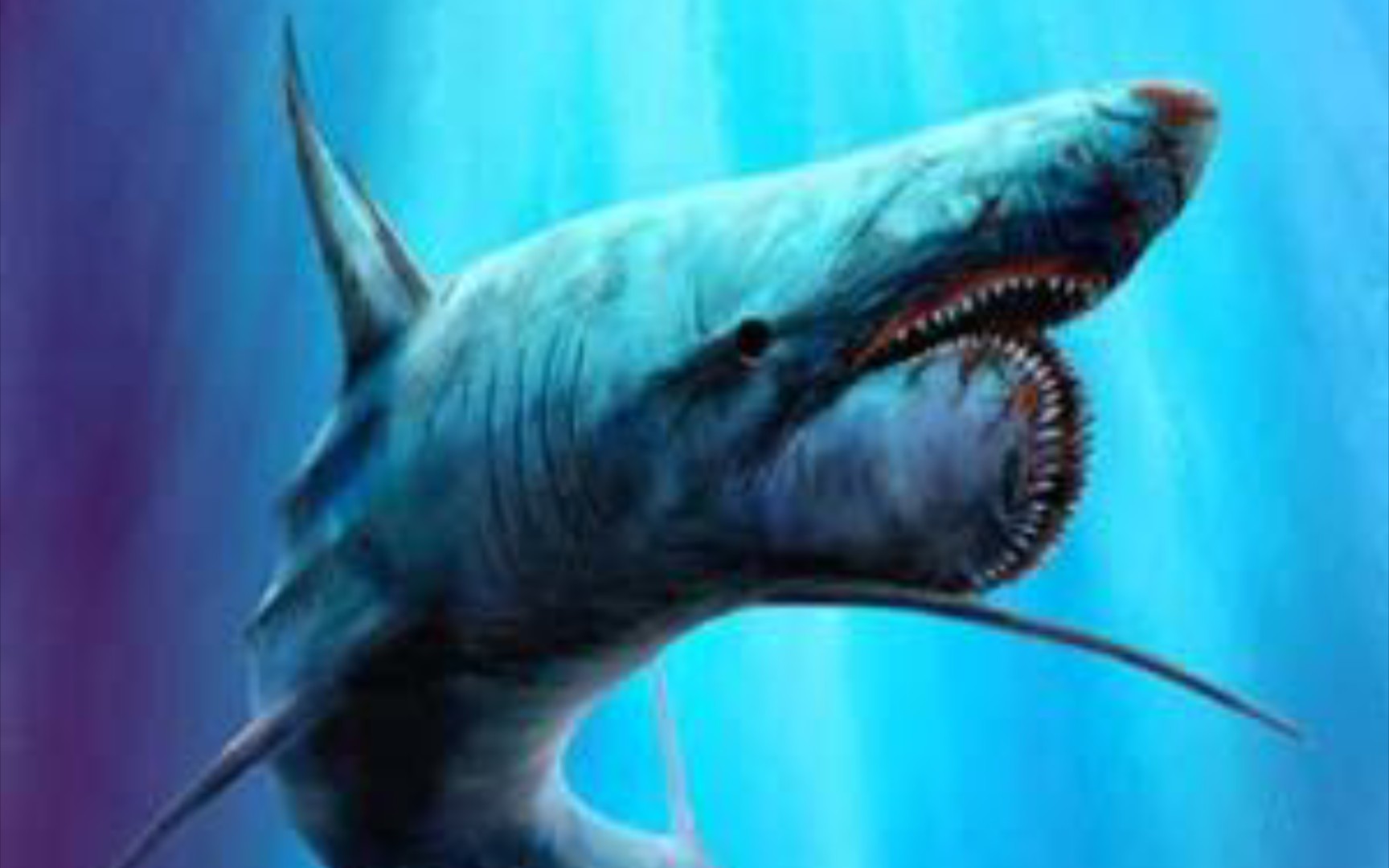 饥饿鲨世界当旋齿鲨来到中国南海