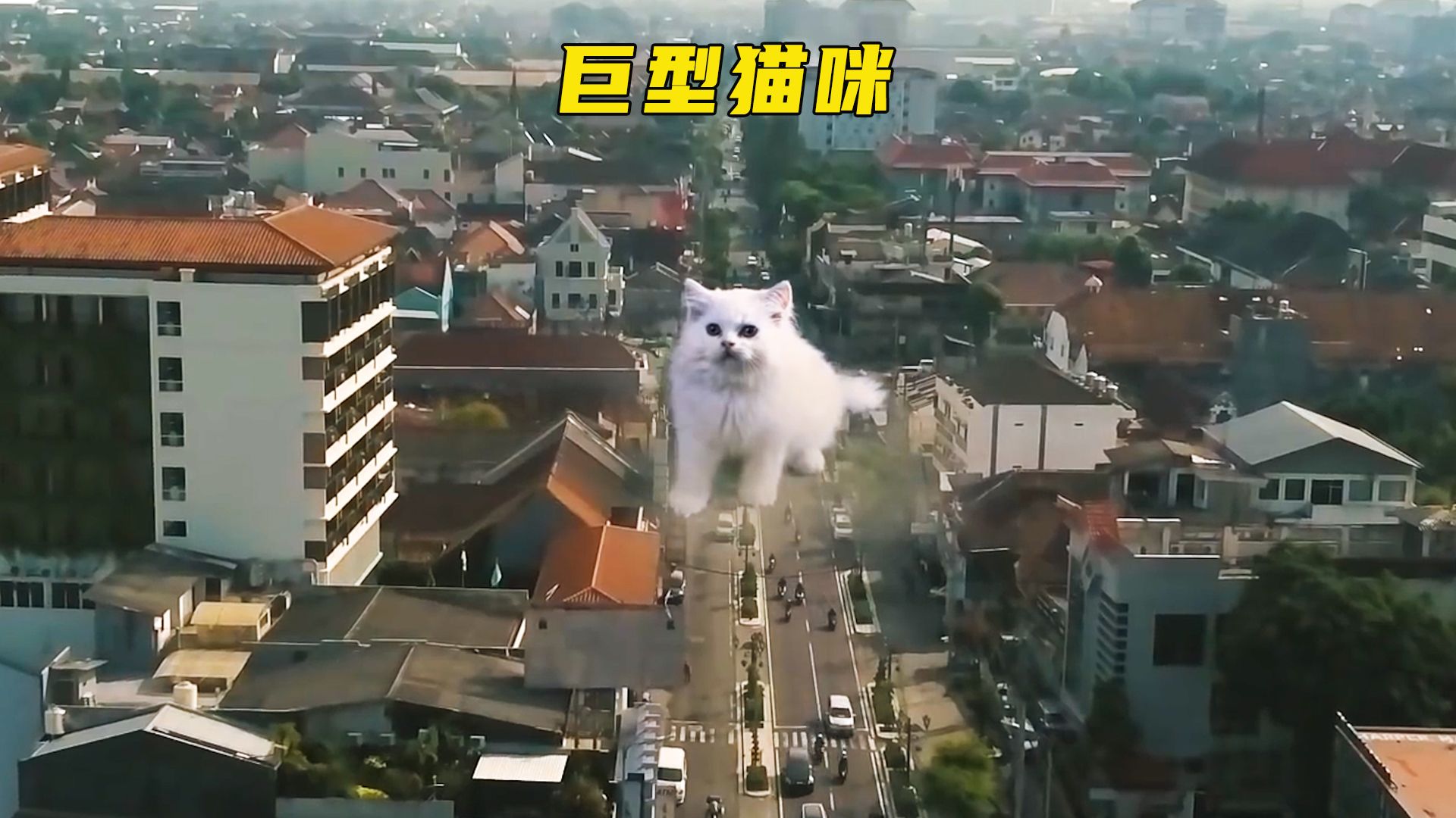 变异的巨型猫咪出现在城市中