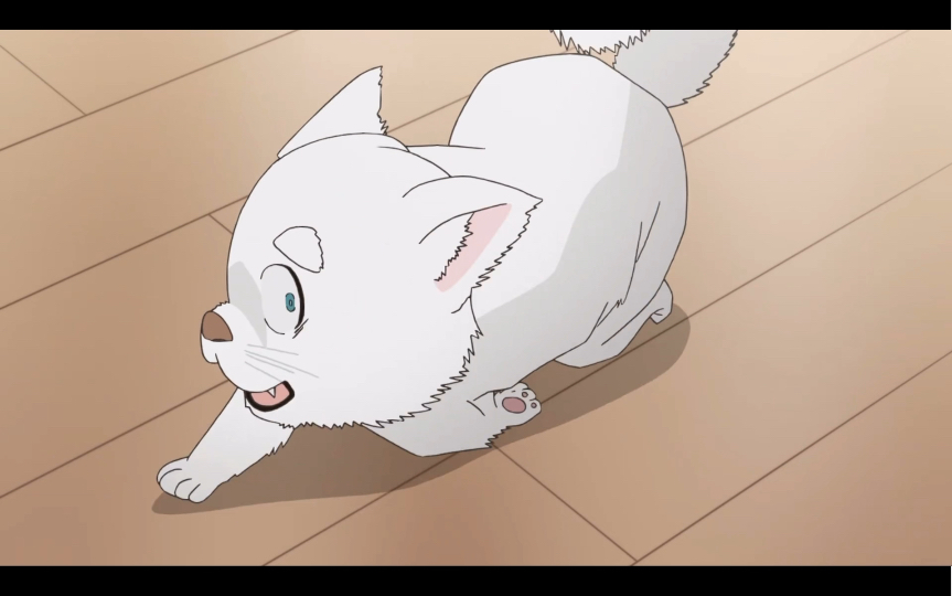 安室透|零的日常〕哟 这不是哈罗吗 几日不见怎么拉了_哔哩哔哩