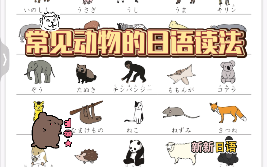 【日语】常见动物的日语读法哔哩哔哩bilibili