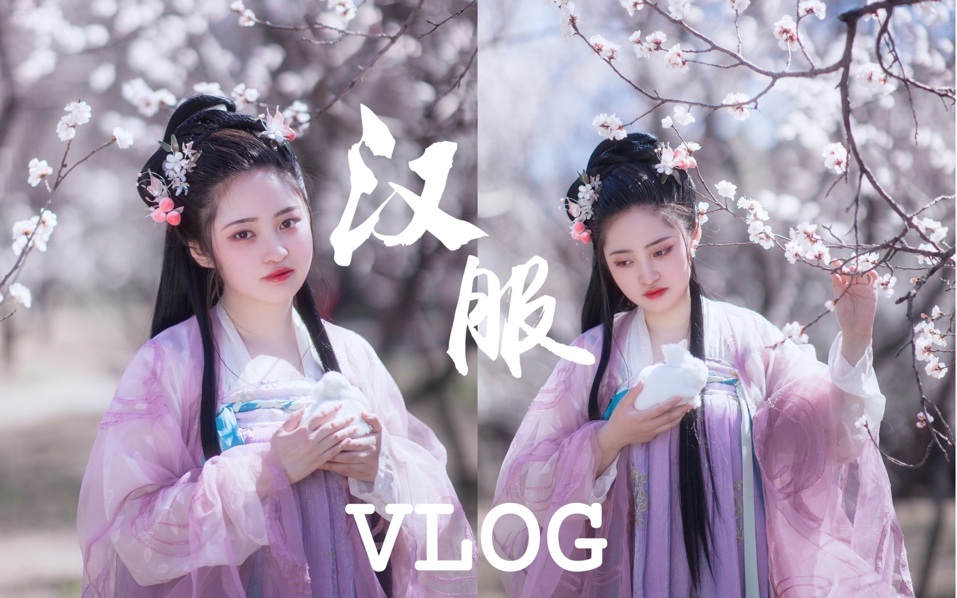 [图]穿上汉服变身兔子精？汉服拍摄VLOG