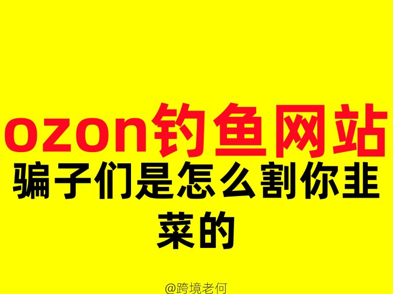 揭秘跨境电商ozon钓鱼网站骗钱套路哔哩哔哩bilibili