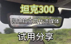 Download Video: 坦克300安装凯迪拉克四代流媒体