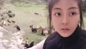 【大学生返乡】大学毕业半年，想留在农村养鸡，爸妈不支持不理解，朋友同学看不起！其苦不堪说！