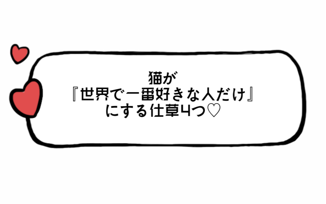 【坚持读日语】猫が『世界で一番好きな人だけ』にする仕草4つ♡哔哩哔哩bilibili