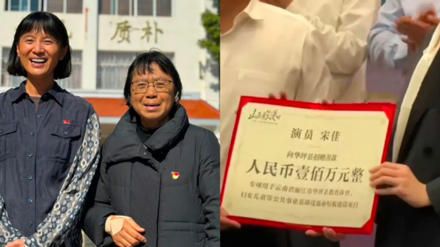 宋佳向华坪县捐赠100万