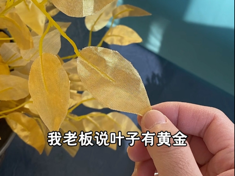 树叶真能抵工资吗哔哩哔哩bilibili