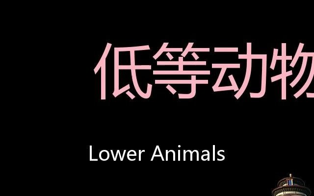 低等动物 Chinese Pronunciation lower animals哔哩哔哩bilibili