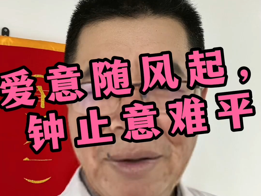 《爱意随风起, 钟止意难平》哔哩哔哩bilibili