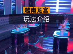 Télécharger la video: 越南龙宫玩法介绍，视频一定要看到最后