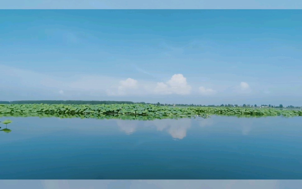 [图]【洞庭湖边的的风景】