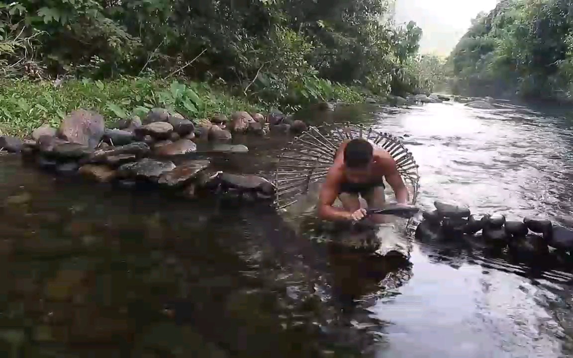 小伙在雨林中的小河里,用竹编鱼筌捕得一条大鱼,之后吃了个饱!哔哩哔哩bilibili