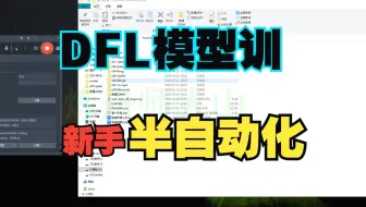 DFL傻瓜式可控制/半自动训练