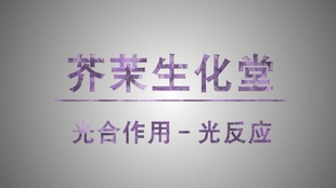 哔哩哔哩