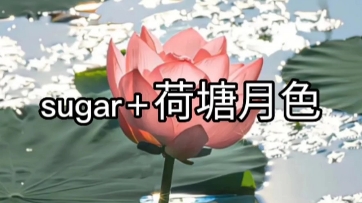 [图]翻唱《sugar＋荷塘月色》