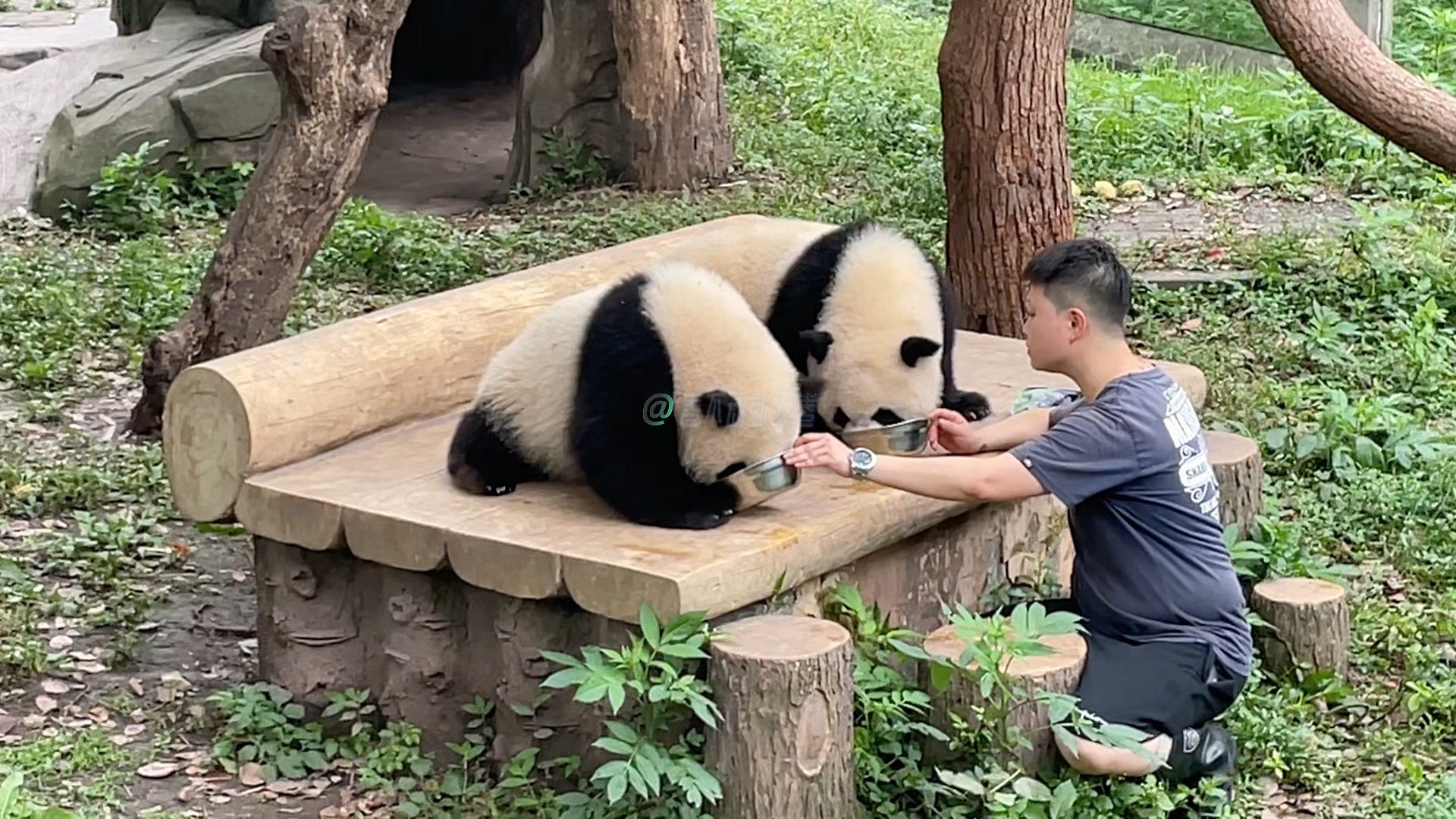 用盆盆奶可以叫醒午睡的可可哦/可可执着舔盆盆/奶妈给二妹拍奶嗝(5.27)哔哩哔哩bilibili