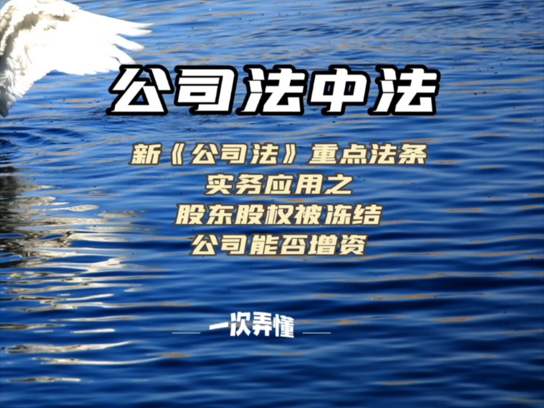 新公司法重点法条实务应用之股东股权被冻结公司能否增资哔哩哔哩bilibili