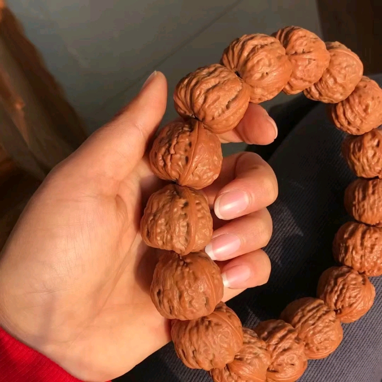 野生铁核桃秋子手持