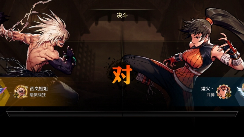 dnfm名人殿丨西岚姐姐v灯火