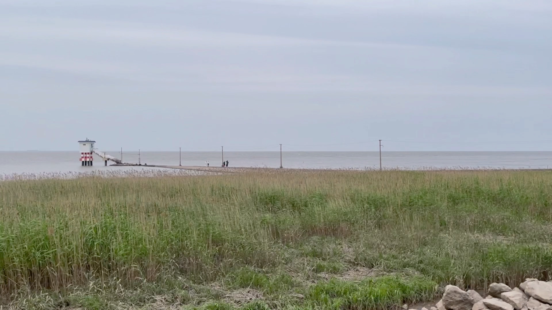 上海崇明横沙岛风景随拍