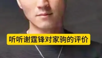 听听谢霆锋对家驹的评价