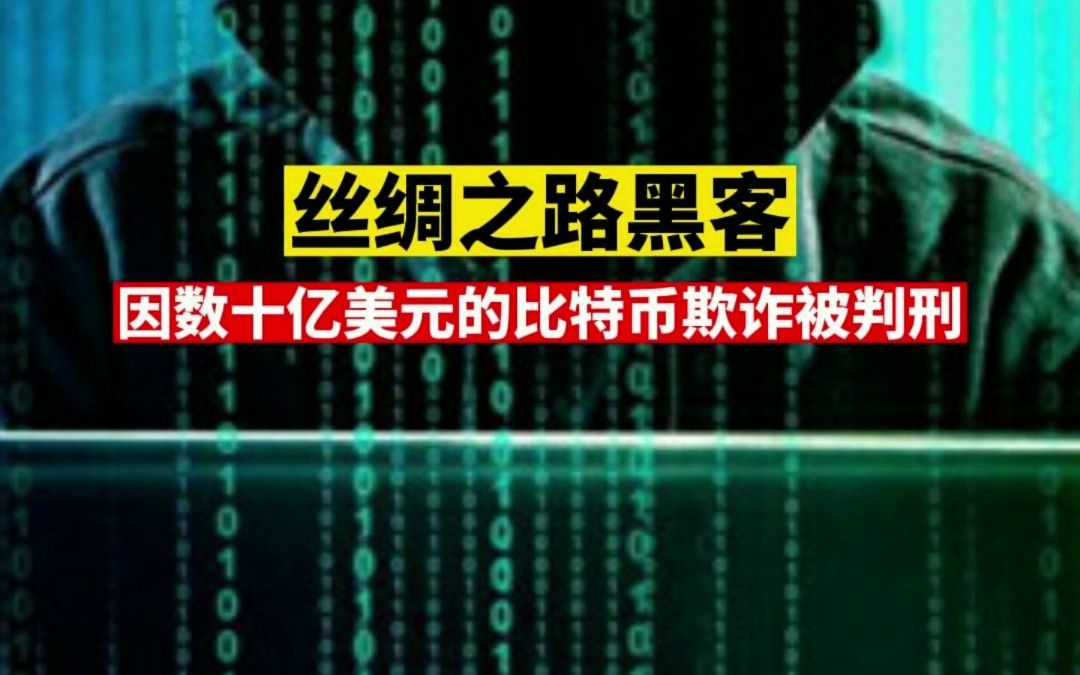 丝绸之路黑客因数十亿美元的比特币欺诈被判刑哔哩哔哩bilibili