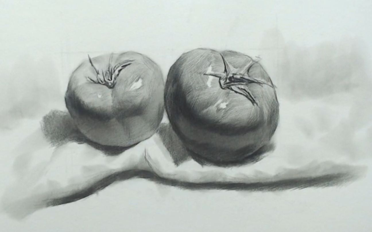素描教学素描静物教学西红柿的画法