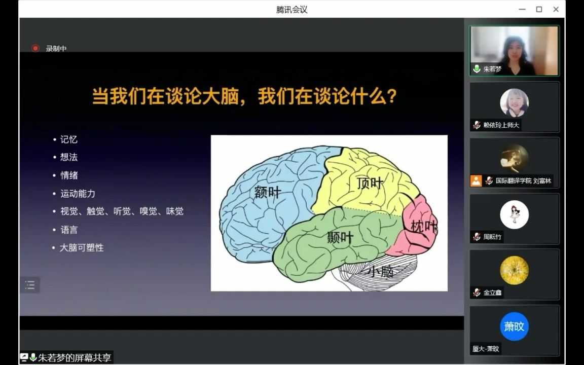 [图]心理语言学与大脑：语言和具象化认知