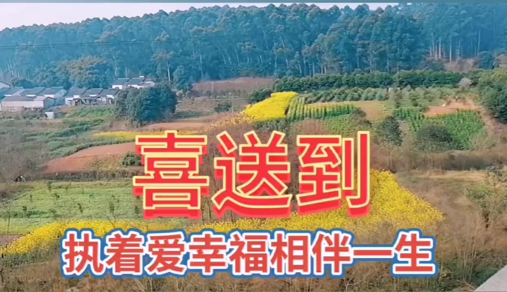 [图]春天的乡村大自然风景，欣赏美丽的油菜花美景，绿色植物美景！