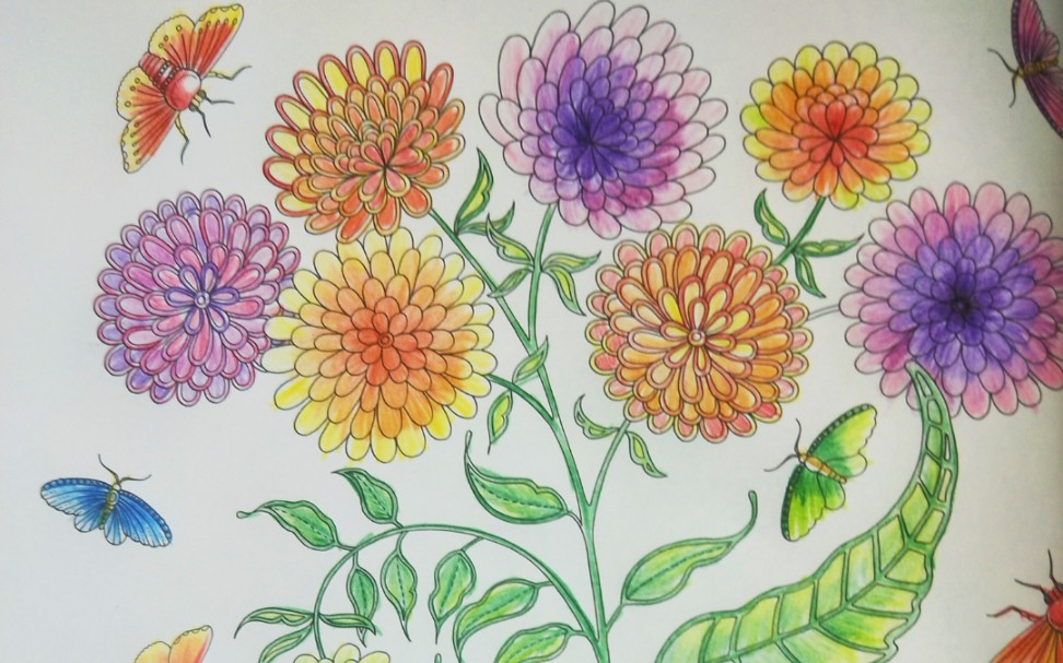 秘密花园涂色,几朵菊花