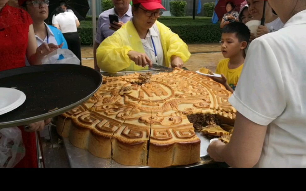 广西合浦月饼是超大月饼发源地,喜欢的不容错过.哔哩哔哩bilibili