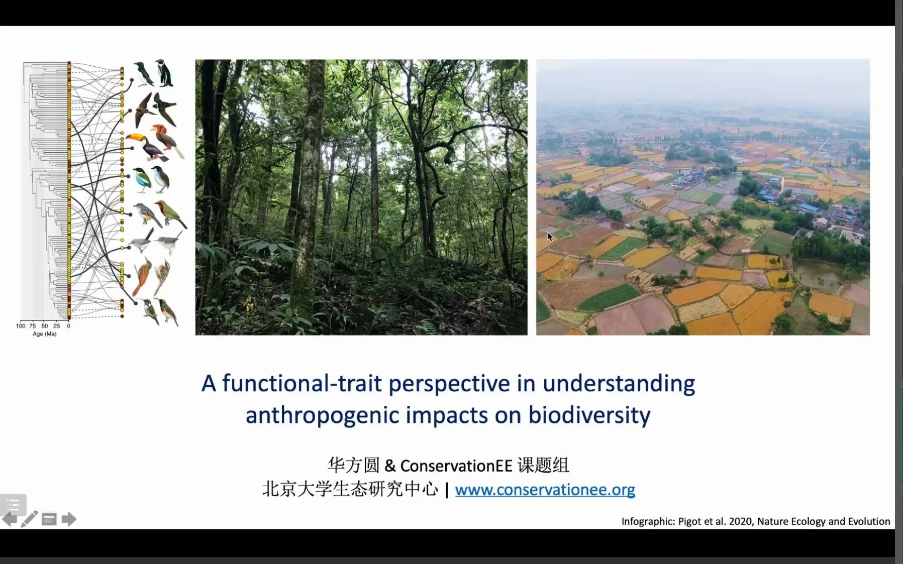 北京大学华方圆研究员从功能性状的角度理解人类活动对生物多样性的影响哔哩哔哩bilibili