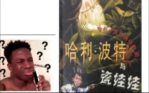 下载视频: 盘点那些神奇的哈利波特盗版书（下）