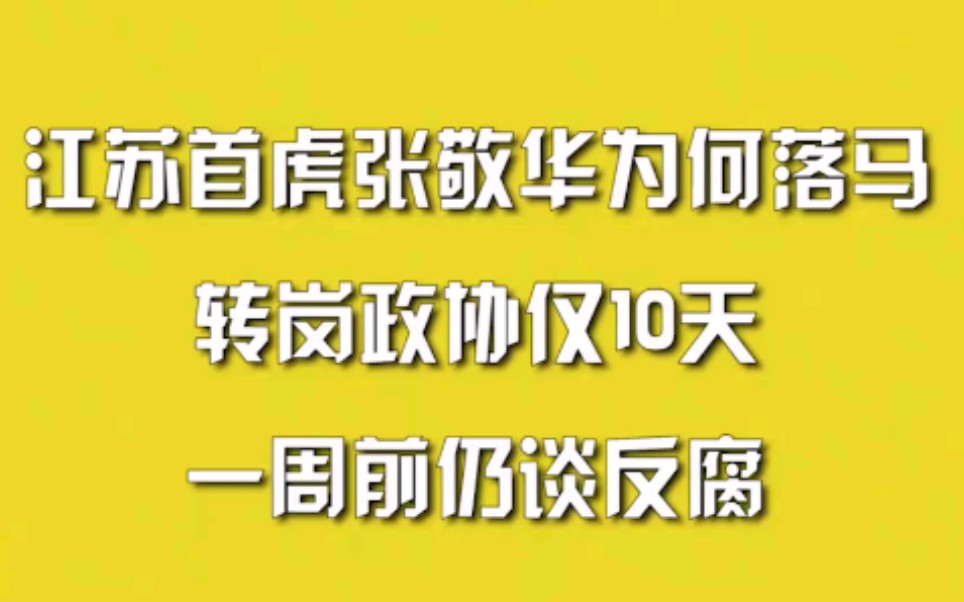 江苏首虎张敬华为何落马?转岗政协仅10天,一周前仍谈反腐哔哩哔哩bilibili