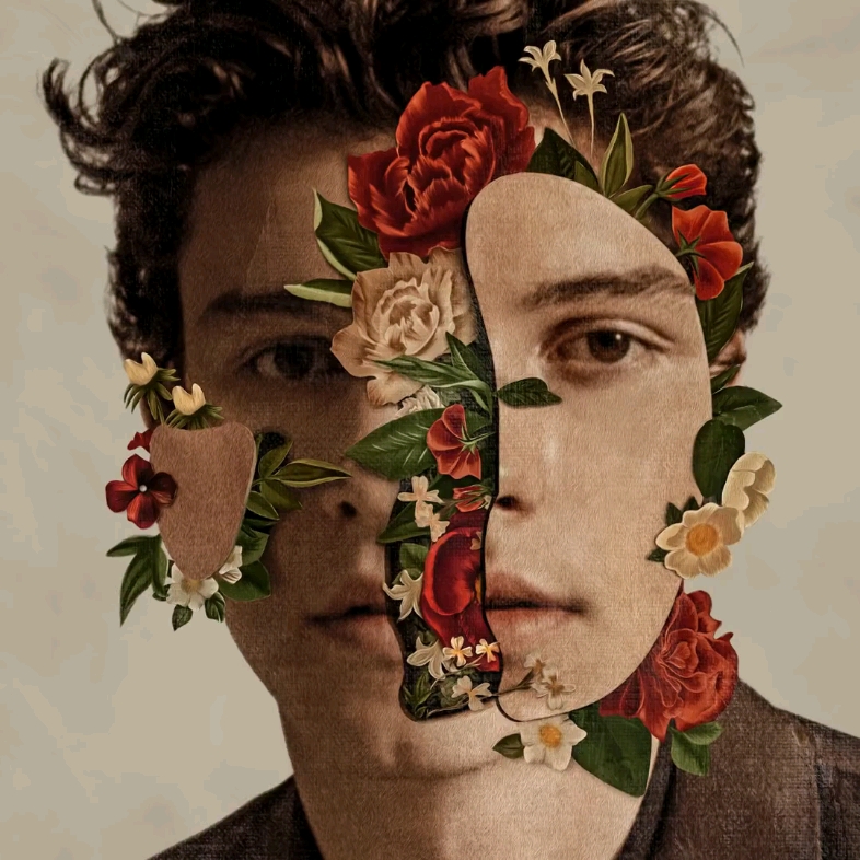 [图]Fallin' All In You · Shawn Mendes