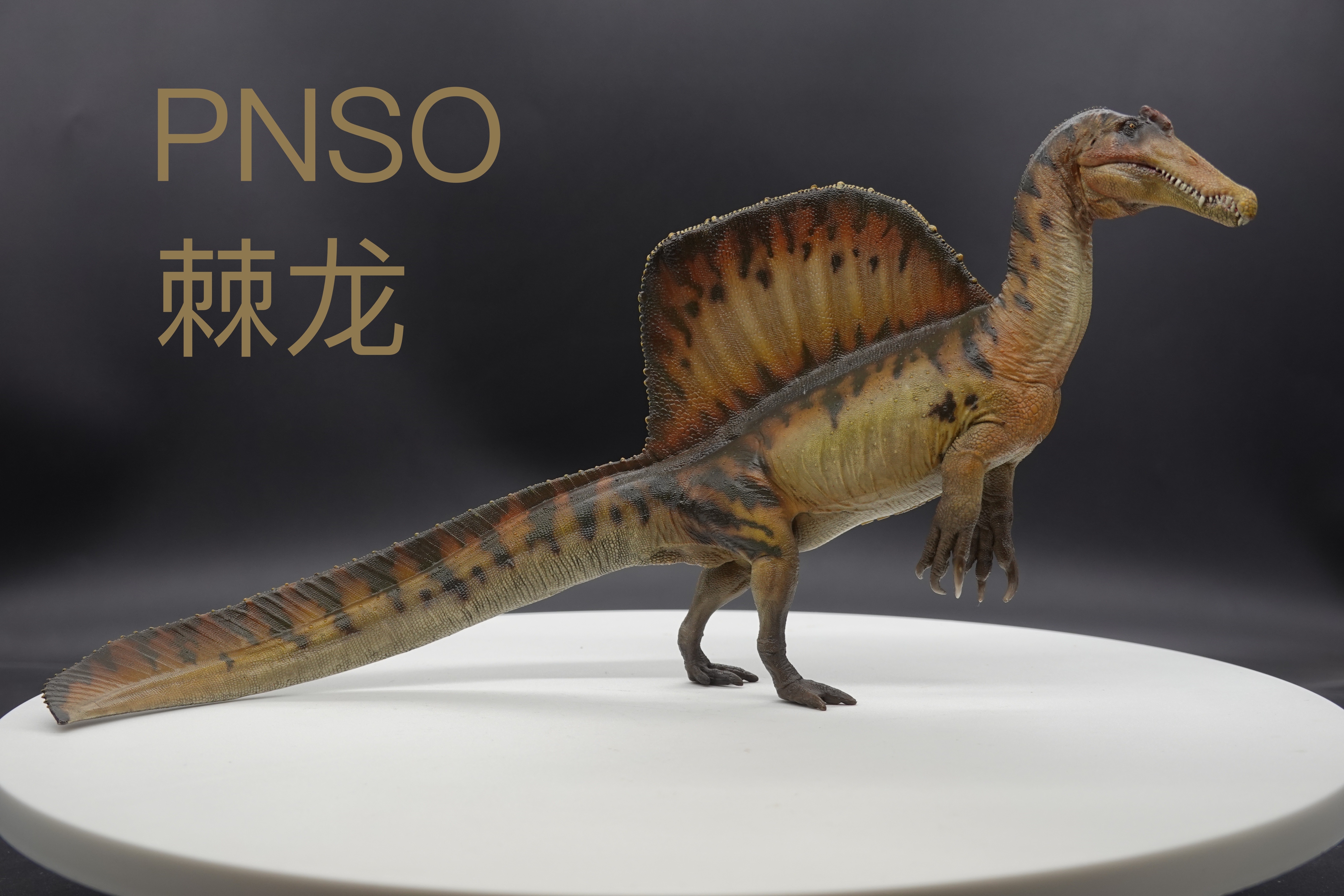 pnso 棘龙3.0来了来了它来了