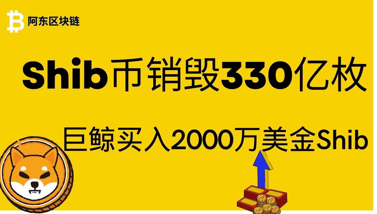 巨鯨,孫宇晨和新錢包過去一個月買入2000萬美金的shib幣!