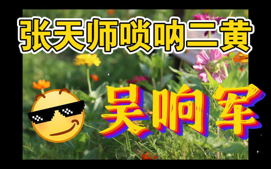 [图]高能高响！吴响军～五花洞张天师之唢呐二黄～ 图文不符请忽略